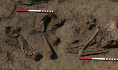 Древние «понаехавшие» обогатили европейцев