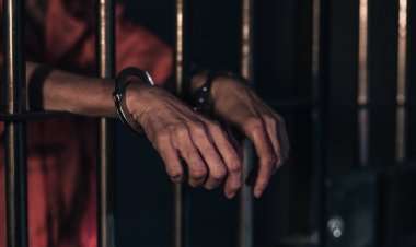 Обнаружены гены, связанные со склонностью к насилию