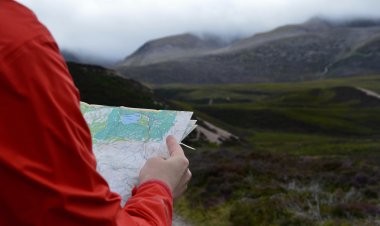 Спортивное ориентирование тренирует мозг и может помочь в борьбе со снижением когнитивных функций