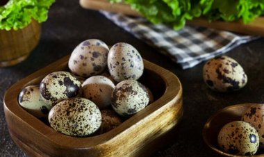 Кому может быть опасно для здоровья есть перепелиные яйца