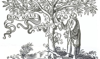 Новые журналы открытого доступа по биологии и психологии