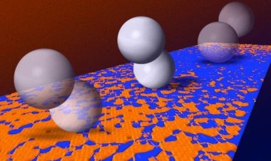 Микроскопические «ходоки» разгуливают по поверхности клетки