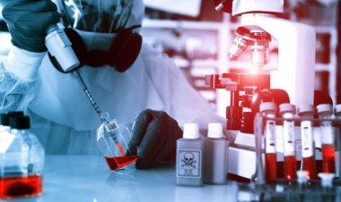 Как эпидемия «испанки» 1918 года поможет в борьбе с лихорадкой Эбола