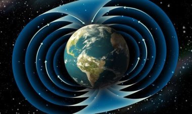 Скорая смена полюсов Земли убьет жизнь