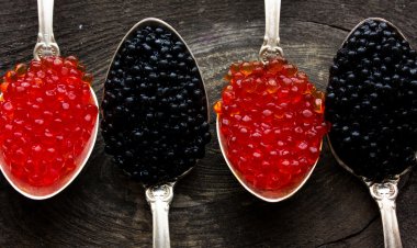 Врач рассказал о небольшой пользе чёрной икры для организма из-за малого количества полезных веществ