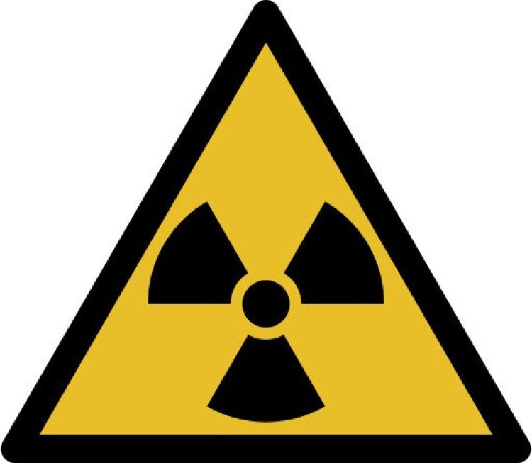Японская радиация добралась до Калифорнии
