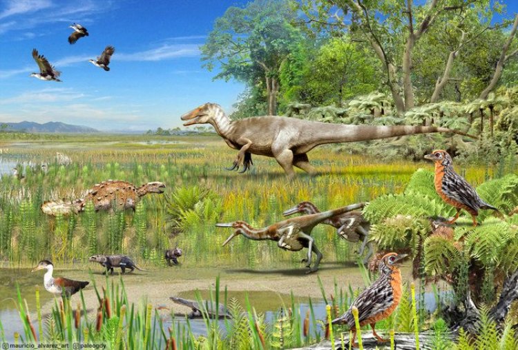 В чилийской долине найдены останки нескольких видов динозавров