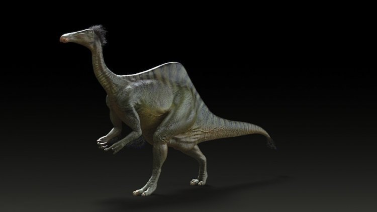 Реконструирован скелет динозавра, похожего на огромного страуса