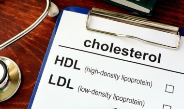 Этот ингредиент, который содержится в супе и хлебе, тушёном мясе, снижает холестерин