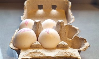 Какие продукты вы ни в коем случае не должны класть в морозилку