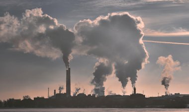 Дышите грязным воздухом? Ваши кости могут стать более хрупкими