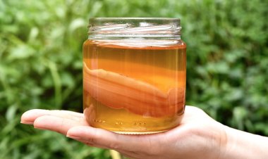 Это лучшие природные пробиотики, которые помогут вашему кишечнику