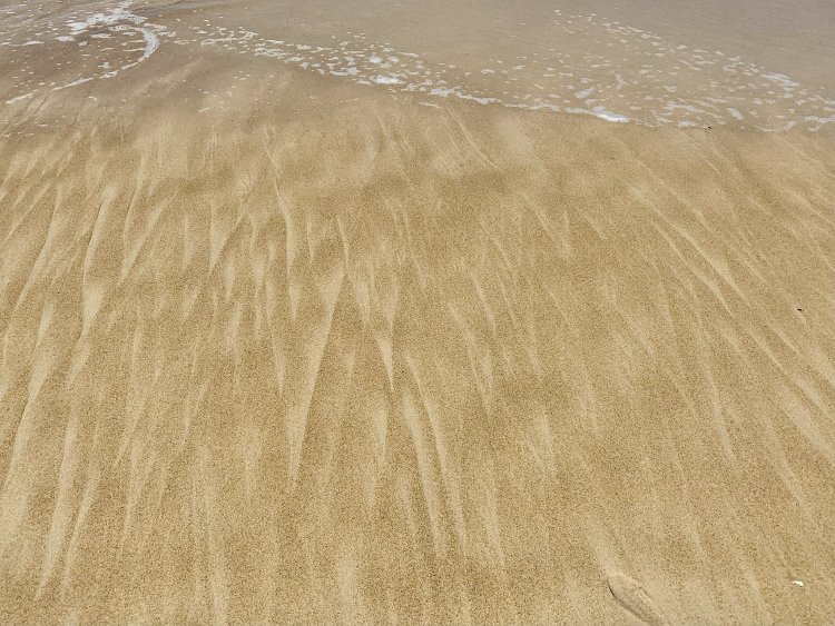 Эксперт из России рассказал об опасности пляжного песка