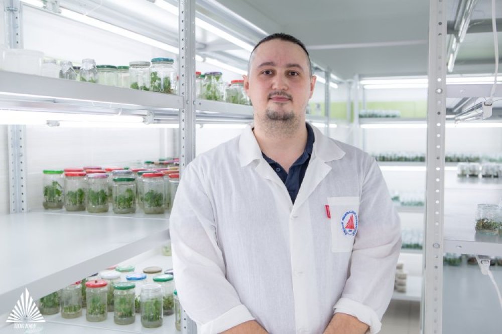 Василий Чохели, к.б.н., заведующий лабораторией клеточных и геномных технологий растений Ботанического сада ЮФУ