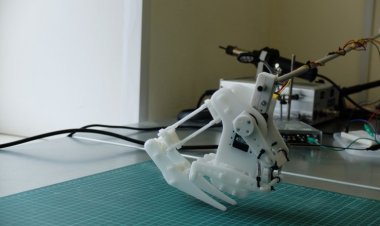 В ИТМО научились создавать гибких роботов