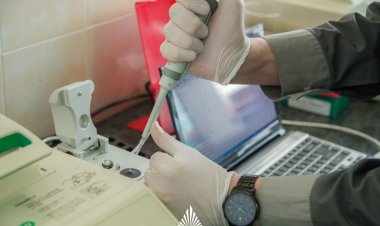 Загрязнение микропластиком: угроза наземным растениям и понимание стратегий ее устранения