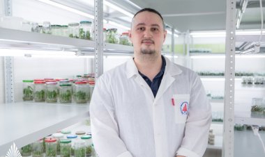 Краснокнижные катраны защитят с помощью авторских прав