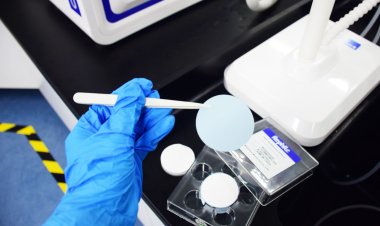 Российские учёные нашли способ заранее узнать, с какими болезнями «знаком» организм