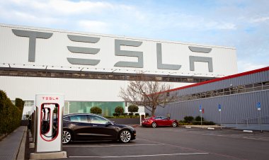 У Tesla может появиться электрокар за 25 тысяч евро