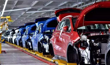 Совет Федерации призвал наладить массовое производство китайских автомобилей в России