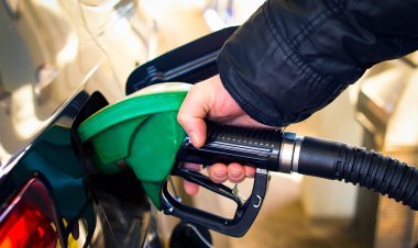 Депутаты на «нерекомендованных» иномарках лишатся бесплатного бензина