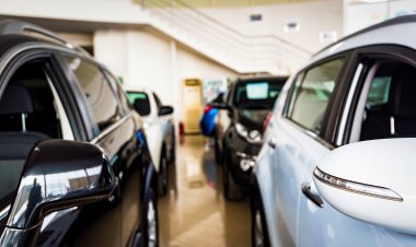 Активами крупного автодилера «Рольф» теперь управляет Росимущество