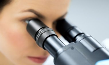 Предложен экологически чистый способ синтеза пористых полимеров