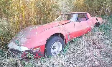 В Сети опубликовали видео с заброшенной стоянки культовых автомобилей