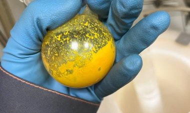 Новый марганцевый катализатор упростит получение водородного топлива