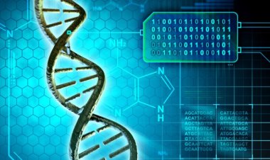 Новая нейросеть поможет точнее редактировать ДНК