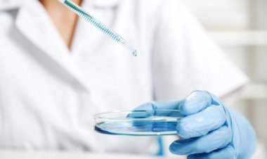 Морские полисахариды проявили высокую активность против ВИЧ