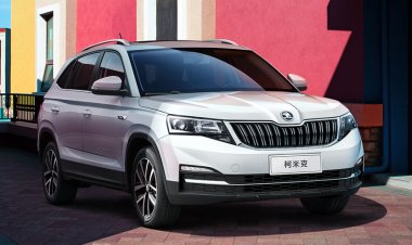 Российские дилеры наладили поставки Skoda Kamiq из Китая