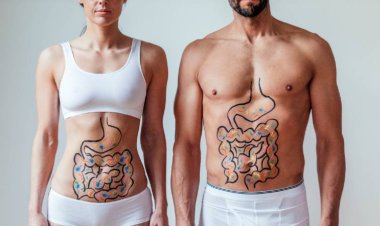 Учёные определили микроорганизмы, которые повышают или снижают вероятность развития ожирения