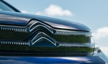 Китайцы хотели купить один из французских брендов Stellantis