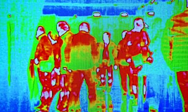 В России разработали тепловизор для автомобилей