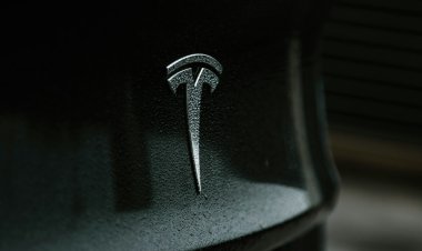 Tesla хочет запустить испытания роботакси в Китае