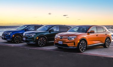 Vinfast: быстрорастворимый стартап