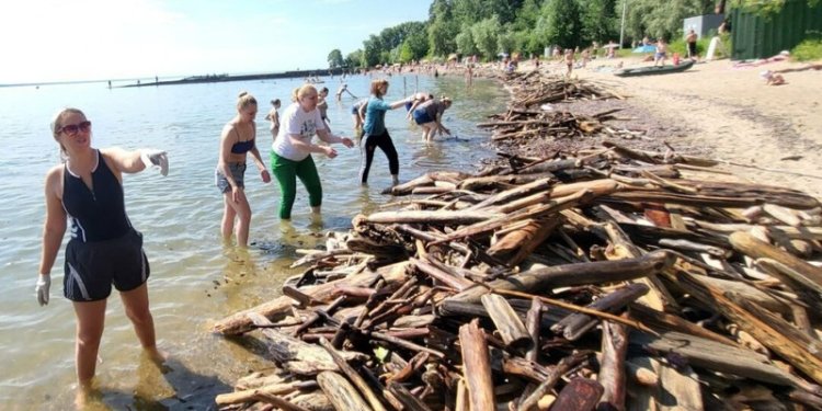 Жители Новосибирска провели на пляже экологическую акцию, собрав восемь тонн старой древесины