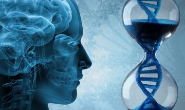 Вечная молодость реальна!